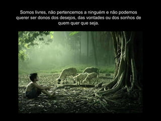 Somos livres, não pertencemos a ninguém e não podemos querer ser donos dos desejos, das vontades ou dos sonhos de quem quer que seja. 