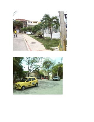 Fotografias  informe