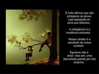 É lícito afirmar que são prósperos os povos  cuja legislação se  deve aos filósofos.  A inteligência é a insolência educada.  Nosso caráter é o resultado de nossa conduta.  Egoísmo não é  amor, mas sim, uma desvairada paixão por nós próprios .  