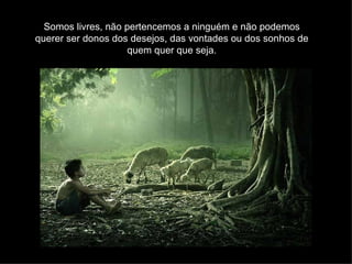 Somos livres, não pertencemos a ninguém e não podemos querer ser donos dos desejos, das vontades ou dos sonhos de quem quer que seja. 