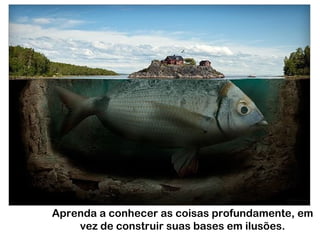 Aprenda a conhecer as coisas profundamente, em
    vez de construir suas bases em ilusões.
 