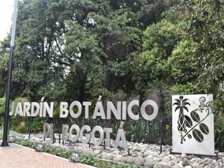 Fotografias jardin botanico