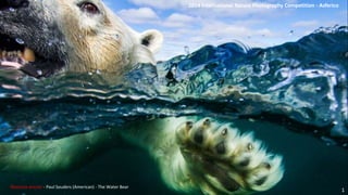 Absolute winner - Paul Souders (American) - The Water Bear 
2014 International Nature Photography Competition - Asferico 
1 
 