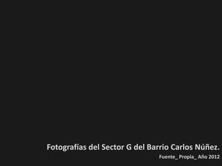 Fotografías del Sector G del Barrio Carlos Núñez.
                               Fuente_ Propia_ Año 2012
 