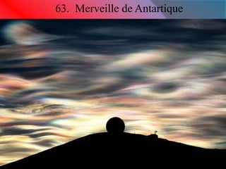 63. Merveille de Antartique 
 