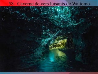 58. Caverne de vers luisants de Waitomo 
 