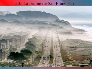 50. La brume de San Francisco 
 