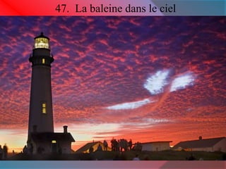 47. La baleine dans le ciel 
 