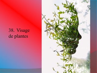 38. Visage 
de plantes 
 
