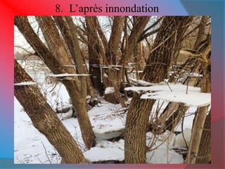 8. L’après innondation 
 