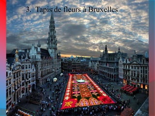 3. Tapis de fleurs à Bruxelles 
 