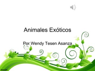 Animales Exóticos
Por Wendy Tesen Asanza
 