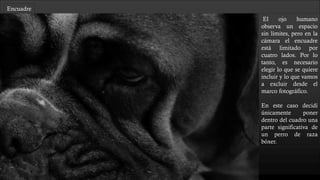 Encuadre
El ojo humano
observa un espacio
sin límites, pero en la
cámara el encuadre
está limitado por
cuatro lados. Por lo
tanto, es necesario
elegir lo que se quiere
incluir y lo que vamos
a excluir desde el
marco fotográfico.
En este caso decidí
únicamente poner
dentro del cuadro una
parte significativa de
un perro de raza
bóxer cuando estaba a
punto de dormirse.
 