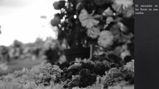 El encuadre de
las flores en una
tumba, el
enfoque se centra
únicamente en
dos partes, donde
se encuentra un
contraste entre
las dos flores
enfocadas.
 