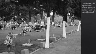 Los arboles y las
separaciones
entre el pasto y el
camino dan el
recorrido visual.
 