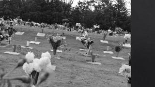 Formato
horizontal, con
un recorrido
visual hacia el
centro de la foto,
donde se
encuentra una
familia, le
otorgan vida a la
foto.
 