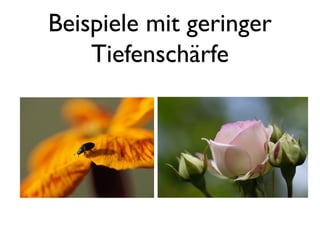 Beispiele mit geringer
Tiefenschärfe
 