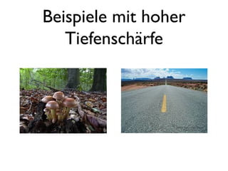 Beispiele mit hoher
Tiefenschärfe
 