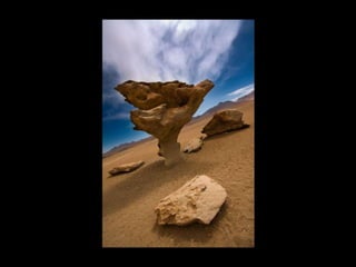 Fotografo arrepentido