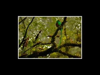 Fotografo arrepentido