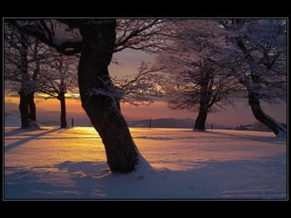 Fotografos alemães.pps
