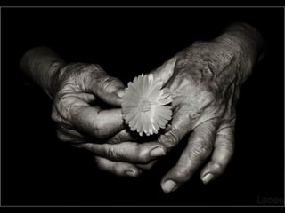 Fotografos alemães.pps