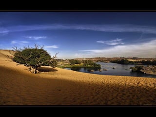 Fotografos alemães.pps