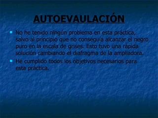 AUTOEVAULACIÓN
   No he tenido ningún problema en esta práctica,
    salvo al principio que no conseguía alcanzar el negro
    puro en la escala de grises. Esto tuvo una rápida
    solución cambiando el diafragma de la ampliadora.
   He cumplido todos los objetivos necesarios para
    esta práctica.
 