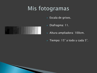    Escala de grises.

   Diafragma: 11.

   Altura ampliadora: 100cm.

   Tiempo: 15” a todo y cada 5”.
 