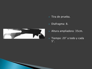    Tira de prueba.

   Diafragma: 8.

   Altura ampliadora: 35cm.

   Tiempo: 20” a todo y cada
    5”.
 