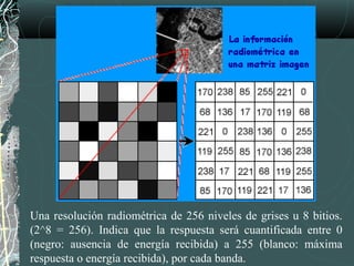 Una resolución radiométrica de 256 niveles de grises u 8 bitios.
(2^8 = 256). Indica que la respuesta será cuantificada entre 0
(negro: ausencia de energía recibida) a 255 (blanco: máxima
respuesta o energía recibida), por cada banda.
 