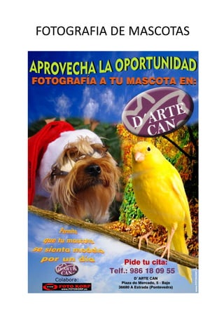 FOTOGRAFIA	
  DE	
  MASCOTAS	
  
 