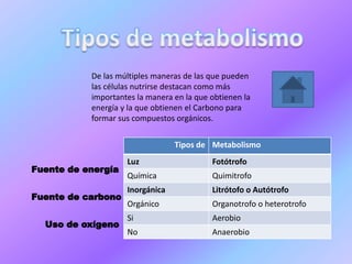 De las múltiples maneras de las que pueden
las células nutrirse destacan como más
importantes la manera en la que obtienen la
energía y la que obtienen el Carbono para
formar sus compuestos orgánicos.
Tipos de Metabolismo
Luz Fotótrofo
Química Quimitrofo
Inorgánica Litrótofo o Autótrofo
Orgánico Organotrofo o heterotrofo
Si Aerobio
No Anaerobio
 