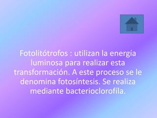 Fotolitótrofos : utilizan la energía
luminosa para realizar esta
transformación. A este proceso se le
denomina fotosíntesis. Se realiza
mediante bacterioclorofíla.
 