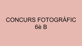 CONCURS FOTOGRÀFIC
6è B
 