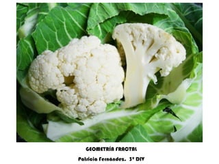 GEOMETRÍA FRACTAL Patricia Fernández.  3º DIV 
