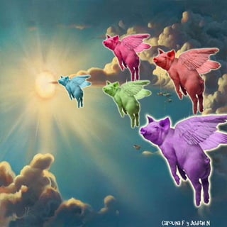 Carolina F y Judith N
 