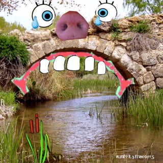 Alvaro R. y Francisco S.
 