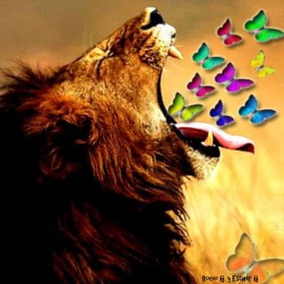 Rocío G. y Esther G
 