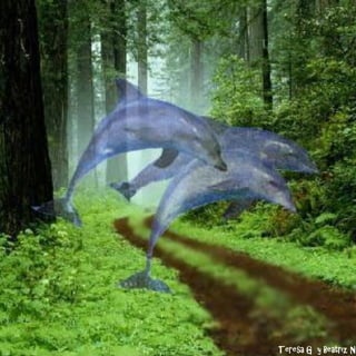 Teresa G y Beatriz N
 