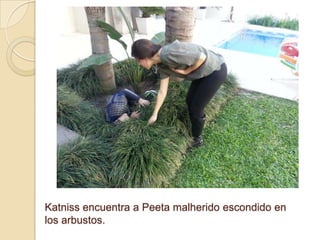 Katniss encuentra a Peeta malherido escondido en
los arbustos.

 