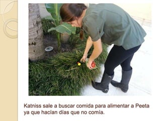 Katniss sale a buscar comida para alimentar a Peeta
ya que hacían días que no comía.

 