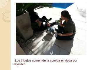 Los tributos comen de la comida enviada por
Haymitch.

 