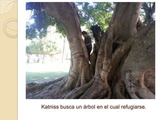 Katniss busca un árbol en el cual refugiarse.

 