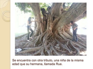 Se encuentra con otra tributo, una niña de la misma
edad que su hermana, llamada Rue.

 