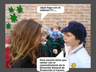 ¿Qué hago con el
cadáver???....
Para sacarlo tiene que
contar con el
consentimiento de la
Dirección General de
Protección al Vecino.
 