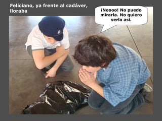 Feliciano, ya frente al cadáver,
lloraba ¡Noooo! No puedo
mirarla. No quiero
verla así.
 