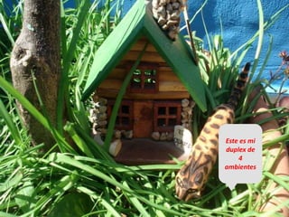 Este es mi
duplex de
    4
ambientes
 