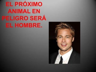 EL PRÓXIMO
  ANIMAL EN
PELIGRO SERÁ
 EL HOMBRE.
 