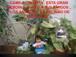 CAMILA CHISPITA , ESTA GRAN
HEROÍNA, JUNTO A SUS AMIGOS ,
“LOS ANIMALES EN PELIGRO DE
         EXTINCIÓN”.
 